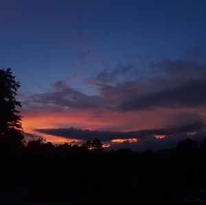 Meet your Posher, Johnny